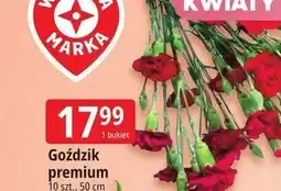 E.Leclerc Goździk premium 10 szt., 50 cm oferta