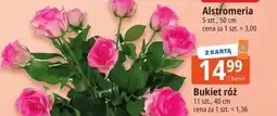 E.Leclerc Bukiet róż 11 szt., 40 cm oferta