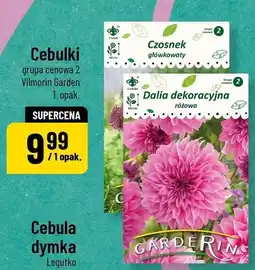 Polomarket Cebulki grupa cenowa 2 Czosnek główkowaty, Dalia dekoracyjna różowa oferta