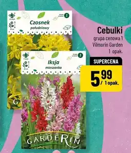Polomarket Cebulki grupa cenowa 1 Czosnek południowy, Iksja mieszanka oferta