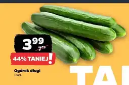 Netto Ogórek długi oferta