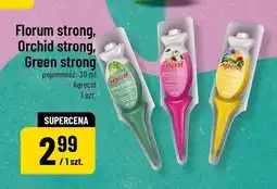 Polomarket Florum strong, Orchid strong, Green strong oferta