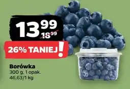 Netto Borówka oferta
