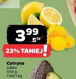 Netto Cytryna oferta