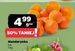 Netto Mandarynka oferta