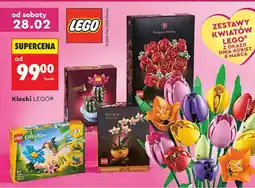 Biedronka Klocki różne zestawy - cena od: oferta