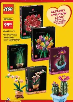 Biedronka Klocki zestawy kwiatów 10343, 10344, 11509 oferta