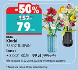 Biedronka Klocki 33801 LILIPAN oferta