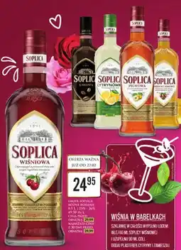 Dino Likier różne rodzaje oferta