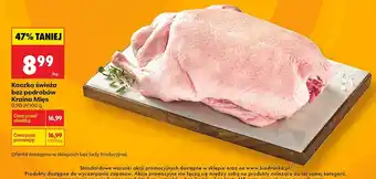 Kaczka świeża bez podrobów