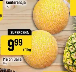 Polomarket Melon Galia oferta