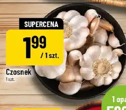 Polomarket Czosnek oferta