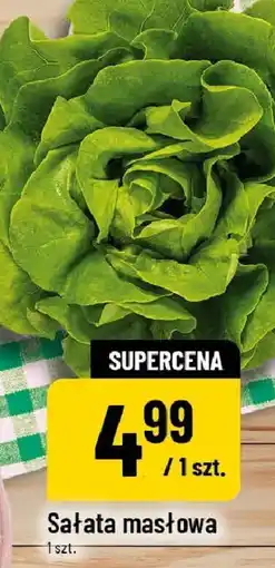 Polomarket Sałata masłowa oferta