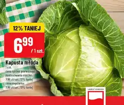 Polomarket Kapusta młoda oferta