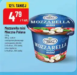 Polomarket Mleczna Polana Mozzarella mini oferta