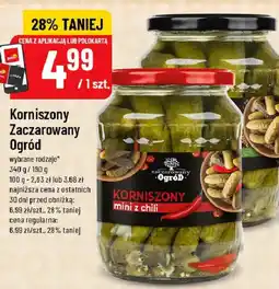 Polomarket Korniszony Zaczarowany Ogród oferta