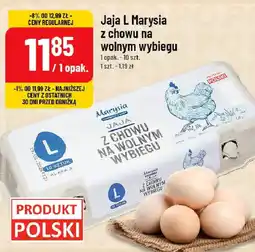 Polomarket Jaja L Marysia z chowu na wolnym wybiegu oferta
