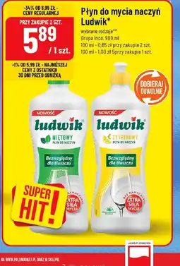 Polomarket Płyn do mycia naczyń Ludwik oferta