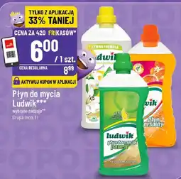 Polomarket Ludwik płyn do mycia oferta