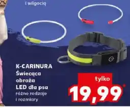 Kaufland Świecąca obroża LED dla psa różne rodzaje i rozmiary oferta