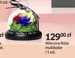 Empik Wieczna Róża multikolor oferta