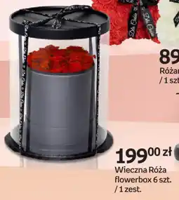 Empik Wieczna Róża flowerbox oferta