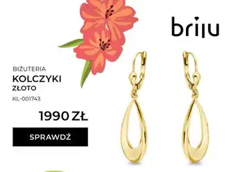 Kolczyki złoto