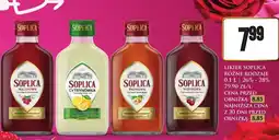 Dino Likier Soplica oferta
