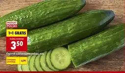 Biedronka Ogórek Polski oferta