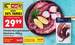 Biedronka Ośmiornica Marinero oferta