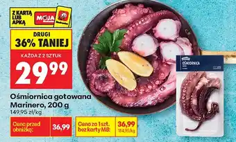 Biedronka Ośmiornica Marinero oferta