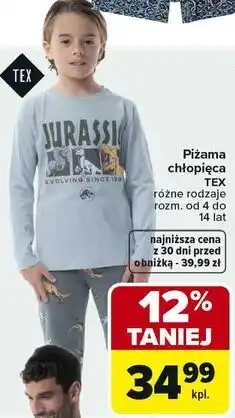 Carrefour Piżama chłopięca TEX różne rodzaje rozm. od 4 do 14 lat oferta