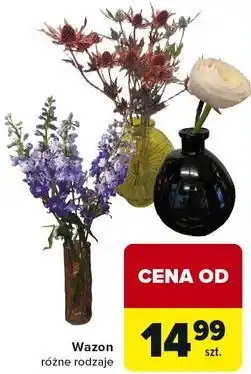Carrefour Wazon różne rodzaje oferta