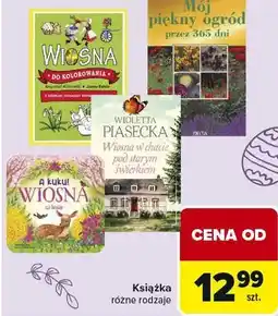Carrefour Książka różne rodzaje oferta