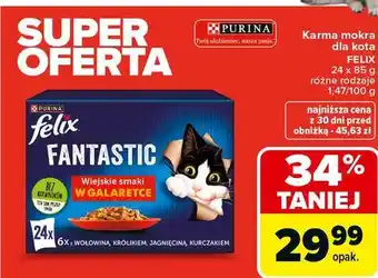 Karma mokra dla kota Felix Fantastic, 24 x 85 g, różne rodzaje