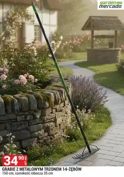 Merkury Market Grabie z metalowym trzonem 14-zębów oferta