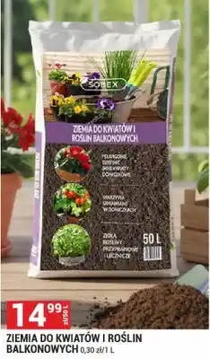 Merkury Market Ziemia do kwiatów i roślin balkonowych oferta