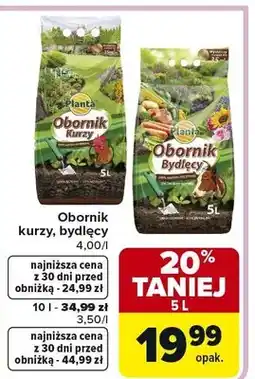 Carrefour Obornik kurzy, bydlęcy oferta