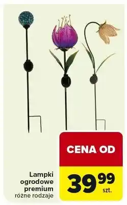 Carrefour Lampki ogrodowe premium różne rodzaje oferta