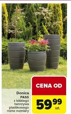 Carrefour Donica Pass z lekkiego tworzywa plastikowego różne rozmiary oferta