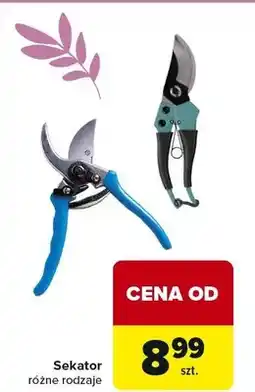 Carrefour Sekator różne rodzaje oferta