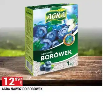 Nawóz do borówek