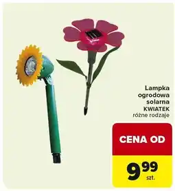 Carrefour Lampka ogrodowa solarna kwiatek różne rodzaje oferta