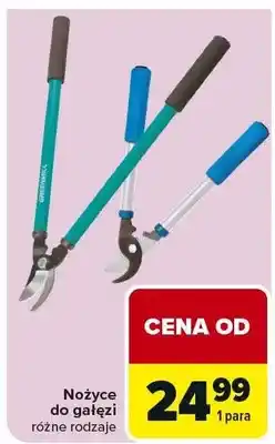 Carrefour Nożyce do gałęzi różne rodzaje oferta