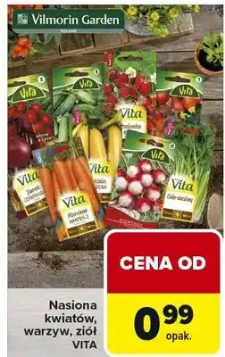 Carrefour Nasiona kwiatów warzyw, ziół oferta