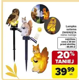 Carrefour Lampa solarna zwierzęta różne rodzaje oferta
