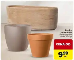 Carrefour Donica terakotowa mrozoodporna różne rodzaje oferta
