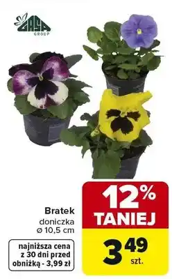 Carrefour Bratek doniczka ø 10,5 cm oferta