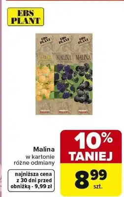 Carrefour Malina w kartonie różne odmiany oferta