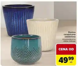 Carrefour Donica ceramiczna szkliwiona mrozoodporna różne rodzaje oferta